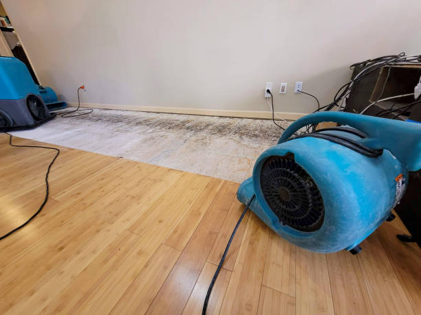 Professional Flood Damage Cleanup technician working in Prince, WV